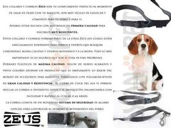 Correa Zeus Large 1,8m Para Perros Ideal Bulldog Beagle - LYONPET