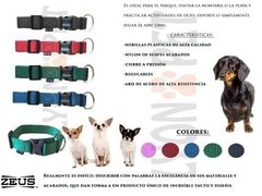 Collar Zeus Small Para Perros Ideal Chihuahua , Dachshund - LYONPET