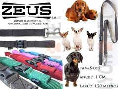 Correa Zeus Small Para Perros Ideal Chihuahua , Dachshund - tienda online