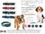 Collar Zeus Large Para Perros Ideal Bulldog Beagle en internet