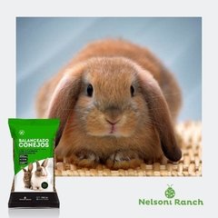 Alimento Balanceado Conejo Premium 750gr Angora Holandes Lop en internet