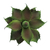 Suculenta Decorativa Artificial Plantas 14x12cm