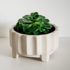 MACETA LILUS CRUDO - comprar online