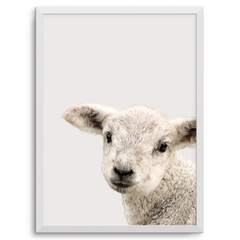 Quadro baby ovelha - loja online