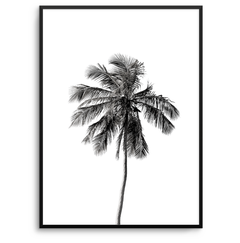 Quadro Minimal Palm