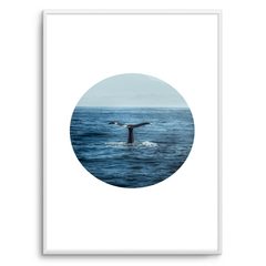 Quadro baleia - comprar online