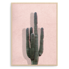 Quadro cactus wall - Inspira Decore