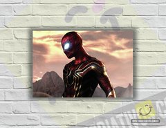Placa Decorativa - Homem Aranha | Heróis