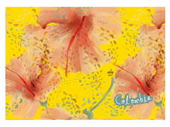 Individuales Cayena