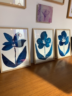Cuadro Flor Turquesa - comprar online