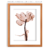 Imagem do Quadro - Flor Flutuante