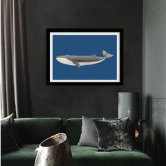 quadro vintage baleia azul moldura preta