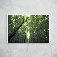 Bamboo tree - comprar online