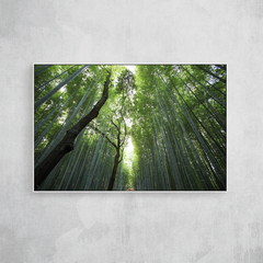 Imagem do Bamboo tree