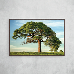 Beautifull tree - O2 Arts Quadros Personalizados