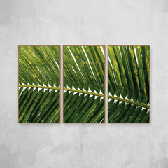 Folha de palmeira tríptico na internet