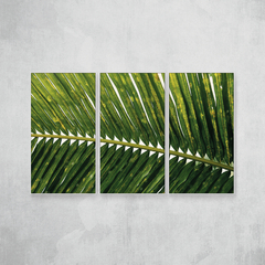 Imagem do Folha de palmeira tríptico