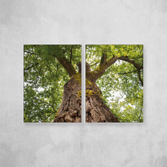 Look Up Tree Díptico - loja online