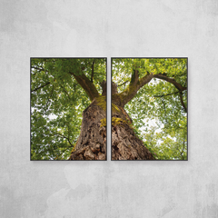 Look Up Tree Díptico - comprar online