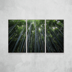 Bamboos Tríptico - loja online