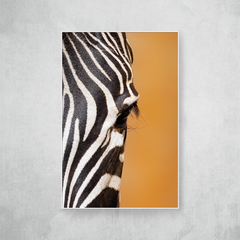 Zebra - Artista: Vitor Barbosa - O2 Arts Quadros Personalizados