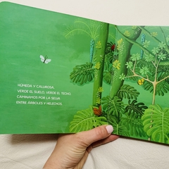 VAMOS A LA SELVA en internet