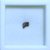 Imagem do Meteorito NWA 8546 - Acondrito Diogenito
