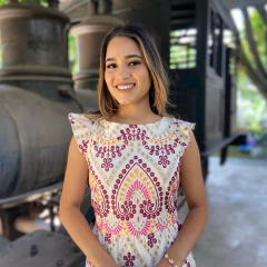 Vestido Fernanda (Lesie) na internet