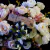 Ramo 10 flores Rosas y Rosas natural N: 62/382 - tienda online
