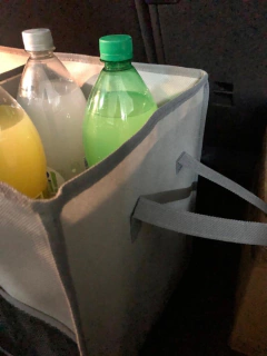 ORGANIZADOR "FIKA" AUTO / CASA MULTIUSO 2 DIVISIONES Y MANIJAS - comprar online