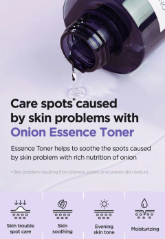 Isntree - Onion Newpair Essence Toner 200ML en internet