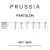 PANTALON RINER - PRUSSIA
