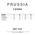 CAMISA TEA - 7422 MUJER PRUSSIA en internet