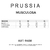 MUSCULOSA MILLA - 9408 - PRUSSIA