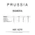 REMERA UNSETTLED - PRUSSIA