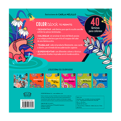 Color Block V&R - ACQUA - comprar online