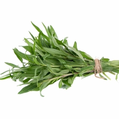 Estragão - Estragão Russo - Artemisia dracunculus - Erva culinária na internet