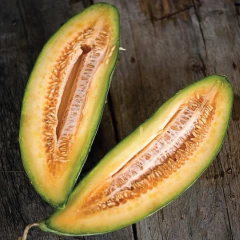Melão Banana - Cucumis melo - Gigantes e deliciosos - comprar online