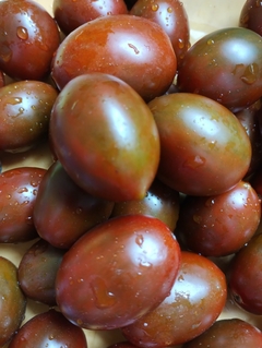 Tomate Cereja Chocolate - Tomate Cherry Chocolate - comprar online