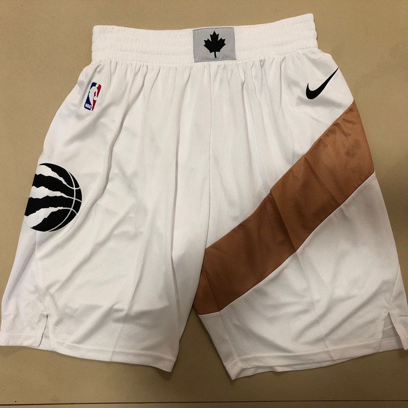 raptors shorts nike