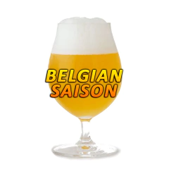 Belgian Saison