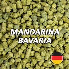 Lúpulo Mandarina Bavaria - Hopsteiner
