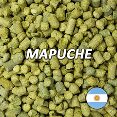 Lúpulo Mapuche - Lúpulos Andinos