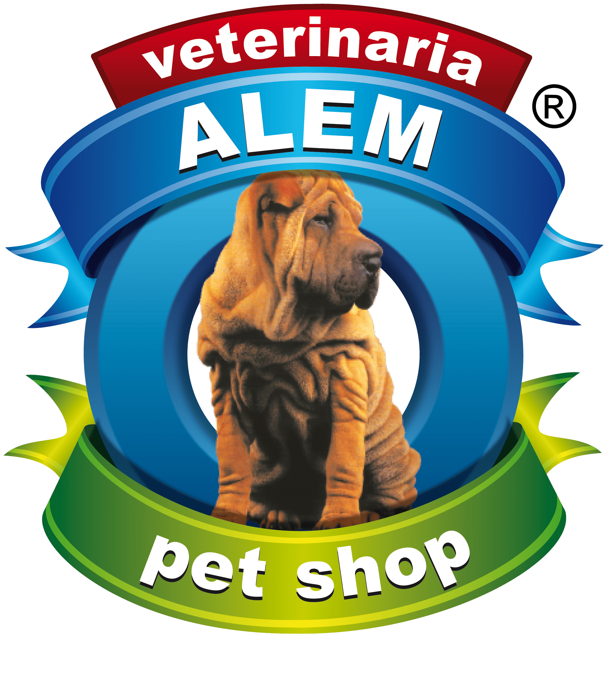 www.veterinariaalem.com