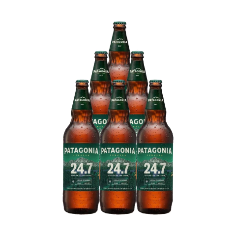 Six Pack Patagonia 24.7 730ml