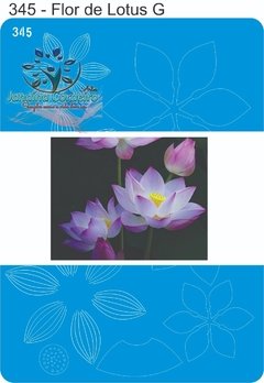 345 - Flor de Lotus G