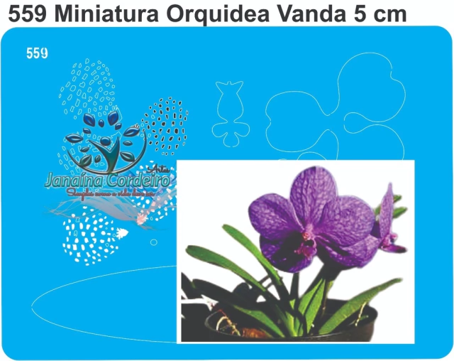 559 - Miniatura Orquídea Vanda (5cm)