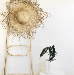 SOMBRERO FLECOS - comprar online