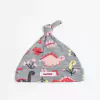Gorrito Dinosaurias Melange Bebé Nena