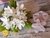 223F - Flor de Laranjeira Média - Frisadores em Resina - loja online